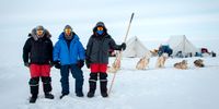 Expedition polar region, huskies, film & photography Three leading photographers and scientists on an expedition.